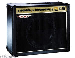 Ashdown G60R Access Guitar Amplifier (60 Watts, 1x12 in.)