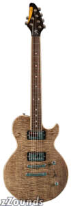 Brian Moore i21 i1000 Series Electric Guitar (with Gig Bag)