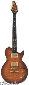 Buy Brian Moore iGuitar2.13 Electric Guitar with Roland Interface Online