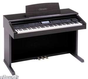 Casio AP65R Digital Home Pro Piano with Disc Drive