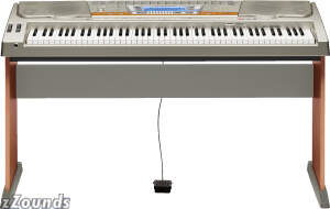 Casio WK8000 Keyboard