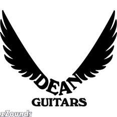 Dean Pace Electric Upright Bass Case