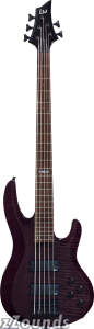 ESP LTD B155FM 5-String Flame Maple Electric Bass best buy