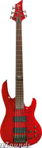 ESP LTD B255 5-String Electric Bass
