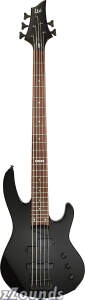 ESP LTD B55 5-String Electric Bass Guitar reviews