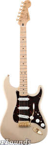 Fender Deluxe Players Stratocaster Electric Guitar (Maple, with Gig Bag) reviews