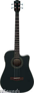 Fender BG29 Acoustic-Electric Bass Guitar (With Gig Bag)