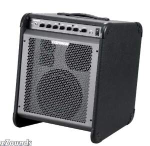 Buy Fishman Loudbox Acoustic Guitar Amplifier (250 Watts) Online