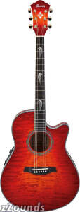 Ibanez AEF100EA Acoustic-Electric Guitar best buy