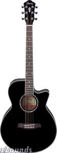 Ibanez AEG10 Acoustic Electric Guitar with Fishman Pickup