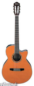 Ibanez AEG10NE Classical Acoustic-Electric Guitar prices