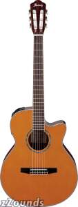Ibanez AEG10N Classical Acoustic-Electric Guitar (Tangerine)