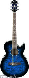 Ibanez AES10E Acoustic-Electric Guitar best buy