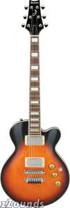 Ibanez ARC100 Artist Electric Guitar reviews
