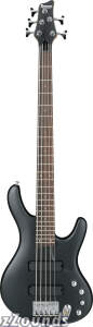 Ibanez EDB405 Ergodyne 5-String Bass prices