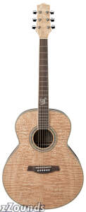 Ibanez EW20AS Exotic Wood Acoustic Guitar$