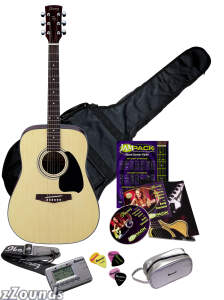 Ibanez IJP2S JamPack Acoustic Guitar Pack