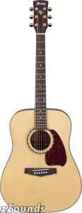 Ibanez PF5 Acoustic Guitar$
