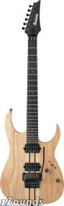 Ibanez RGT220A Prestige Electric Guitar (with Case)