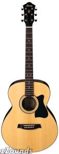 Ibanez VC70 Grand Concert Acoustic Guitar$