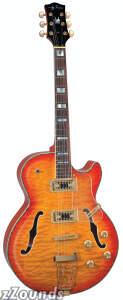 Jay Turser JT155 Hollow-Body Jazz Electric Guitar reviews