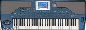 Korg Pa800 Professional 61-Key Arranger Keyboard best buy