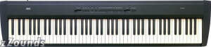 Korg SP200 88-Key Portable Digital Piano