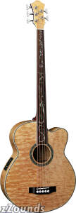 Michael Kelly Dragonfly 5 5-String Fretless Acoustic-Electric Bass