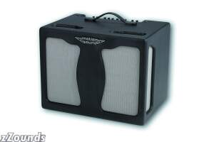 click here for more info on: Motion Sound AR112 Sidewinder Rotary Guitar Amplifier