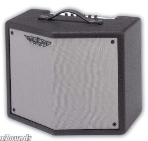 Motion Sound KP100S Keyboard Amplifier