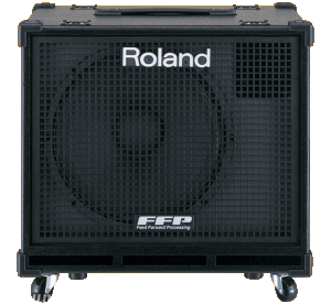 Roland D-Bass 115X Power Bin Bass Guitar Amplifier reviews