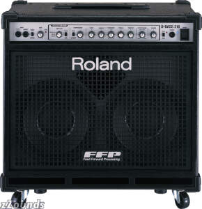 Roland D-Bass 210 Bass Combo Amplifier (400 Watts, 2x10 in.)