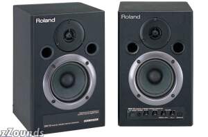 Roland DM10 Digital Stereo Micro Monitor