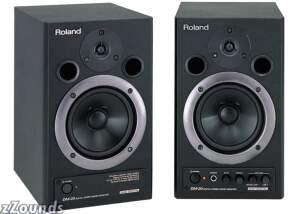 Roland DM20 Digital Stereo Micro Monitor best buy