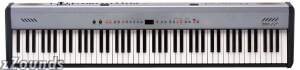 Roland FP2 Digital Piano with Built-In Speakers best buy