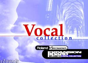Roland Vocal Expansion Board for JV/XP Series (Model SRJV8013)