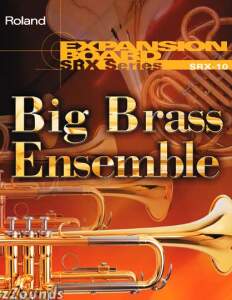 Roland SRX10 Big Brass Ensemble Expansion Board prices