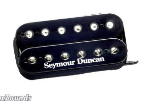 Seymour Duncan SHPG1 Pearly Gates Humbucker Pickup reviews