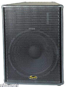 Squier SQ15 15 in. 2-Way PA Loudspeaker