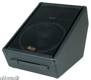 Squier SQ12M 2-Way Floor Monitor (160 Watts, 1x12 in.) best buy