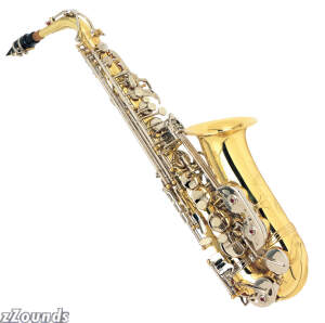 Silvertone AS300 E Flat Alto Saxophone (with Case) reviews
