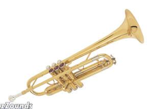 Silvertone TR200 B Flat Trumpet (with Case)