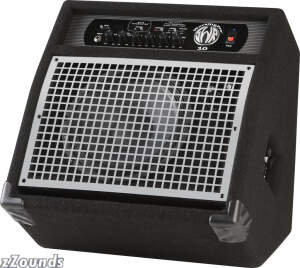 SWR WorkingPro 10 Bass Combo Amplifier reviews