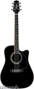 Takamine's