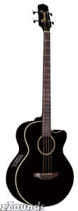 Takamine EG512C Acoustic-Electric Bass reviews