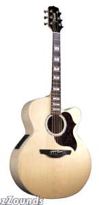 Takamine EG523SC Jumbo Acoustic-Electric Guitar best buy