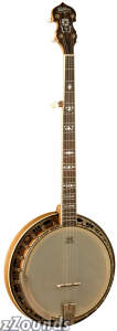 Washburn B120 5 String Banjo with Case