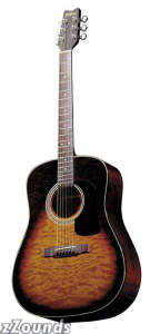 Washburn D10Q Dreadnought Acoustic Guitar best buy