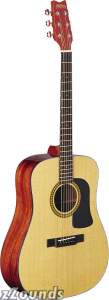 Washburn D10S Solid Top Acoustic Guitar