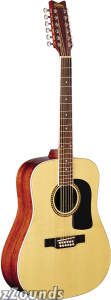 Washburn D10S12 12-String Dreadnought Acoustic Guitar (with Case)